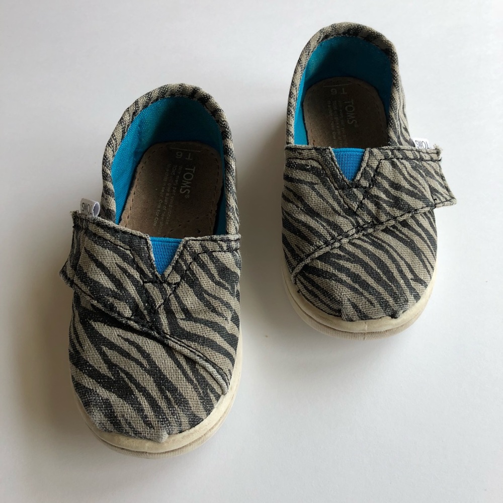 TOMS. Toddler size 6T.